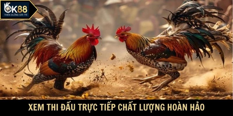 Xem thi đấu trực tiếp chất lượng hoàn hảo